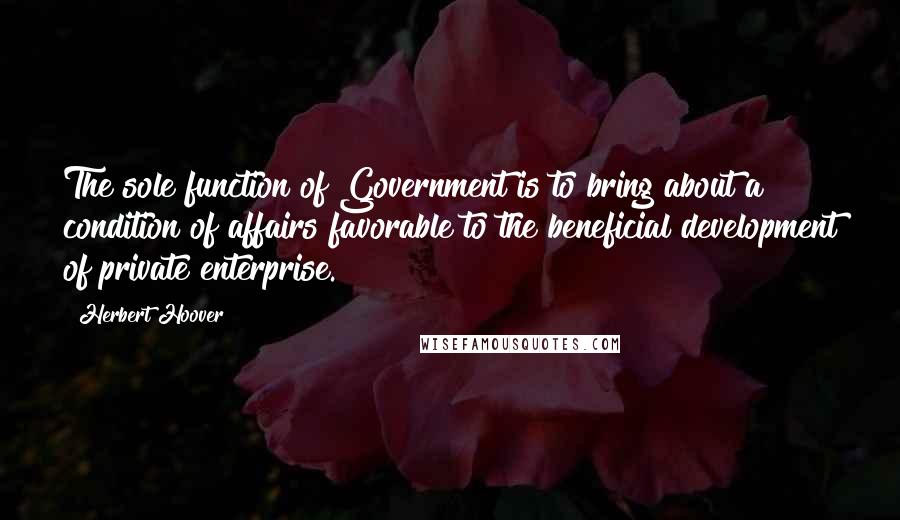 Herbert Hoover Quotes: The sole function of Government is to bring about a condition of affairs favorable to the beneficial development of private enterprise.