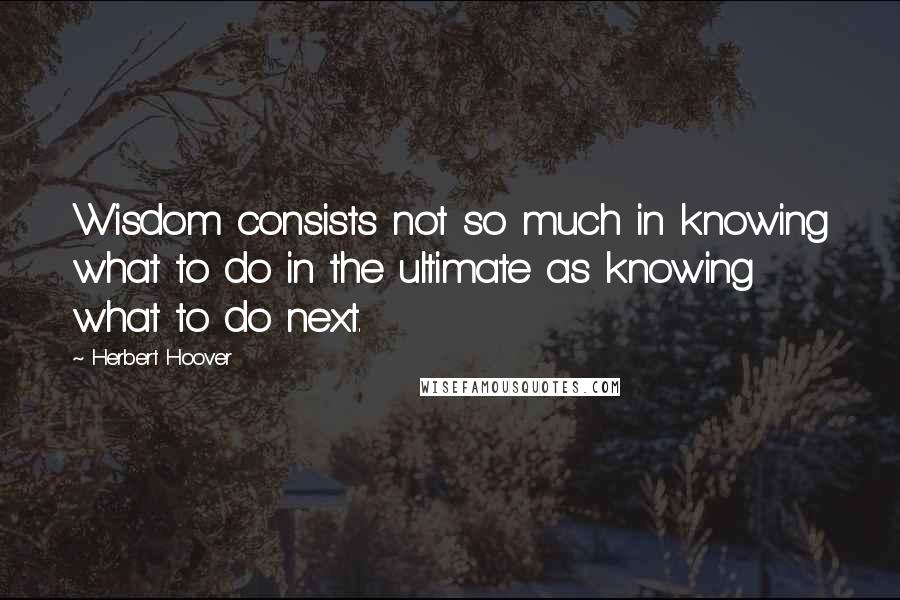 Herbert Hoover Quotes: Wisdom consists not so much in knowing what to do in the ultimate as knowing what to do next.