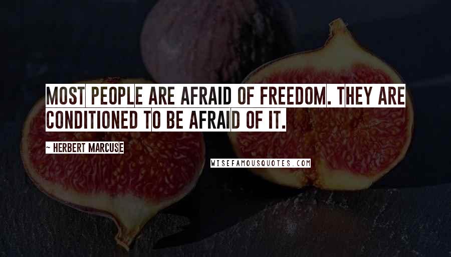 Herbert Marcuse Quotes: Most people are afraid of freedom. They are conditioned to be afraid of it.