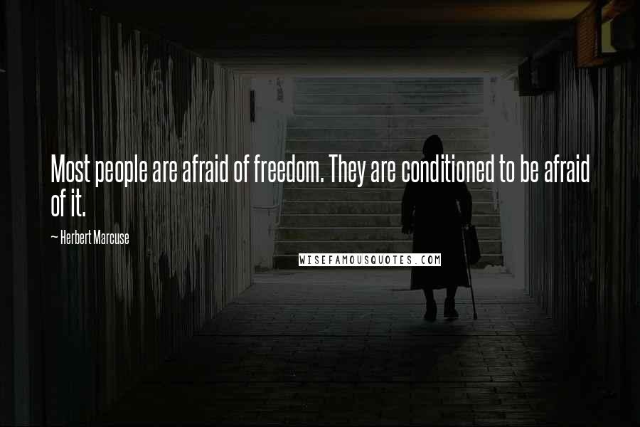 Herbert Marcuse Quotes: Most people are afraid of freedom. They are conditioned to be afraid of it.