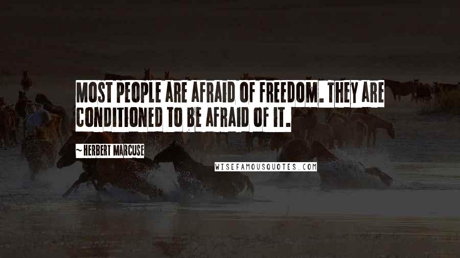 Herbert Marcuse Quotes: Most people are afraid of freedom. They are conditioned to be afraid of it.