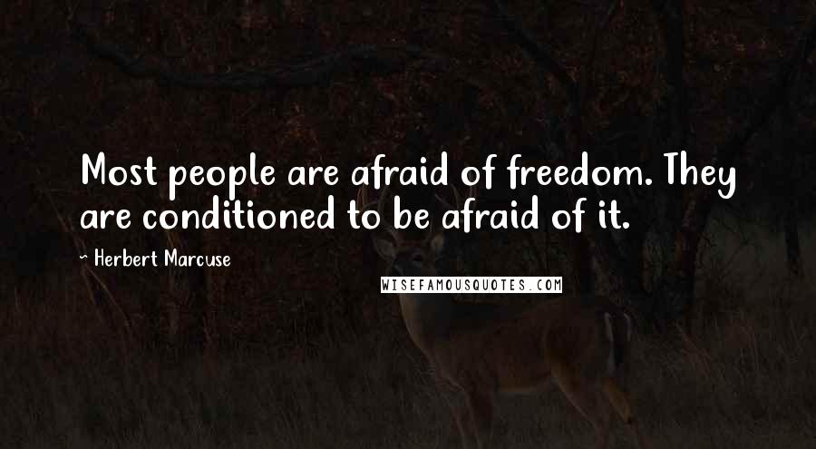 Herbert Marcuse Quotes: Most people are afraid of freedom. They are conditioned to be afraid of it.