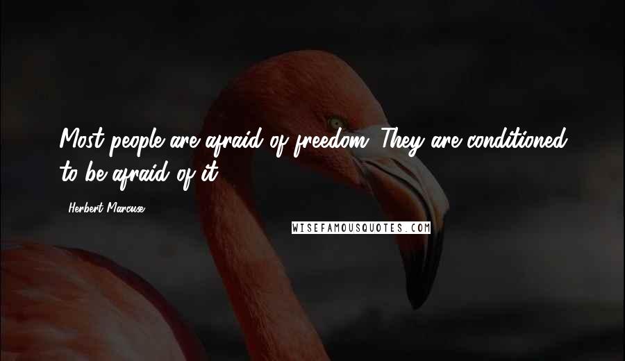 Herbert Marcuse Quotes: Most people are afraid of freedom. They are conditioned to be afraid of it.