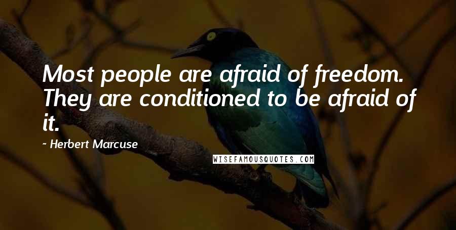 Herbert Marcuse Quotes: Most people are afraid of freedom. They are conditioned to be afraid of it.