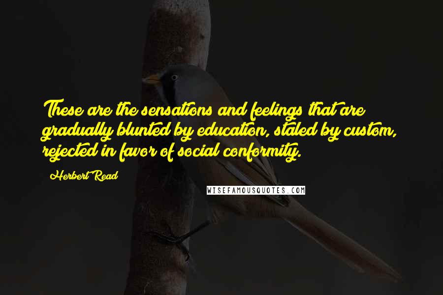 Herbert Read Quotes: These are the sensations and feelings that are gradually blunted by education, staled by custom, rejected in favor of social conformity.