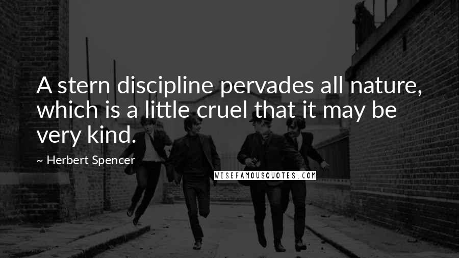 Herbert Spencer Quotes: A stern discipline pervades all nature, which is a little cruel that it may be very kind.