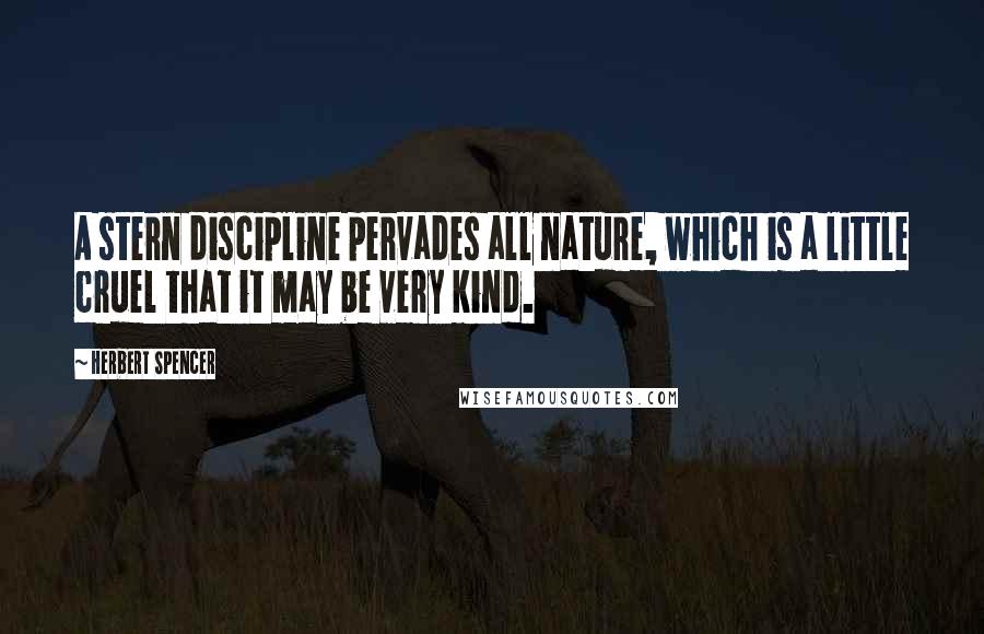 Herbert Spencer Quotes: A stern discipline pervades all nature, which is a little cruel that it may be very kind.