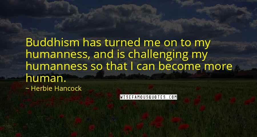 Herbie Hancock Quotes: Buddhism has turned me on to my humanness, and is challenging my humanness so that I can become more human.