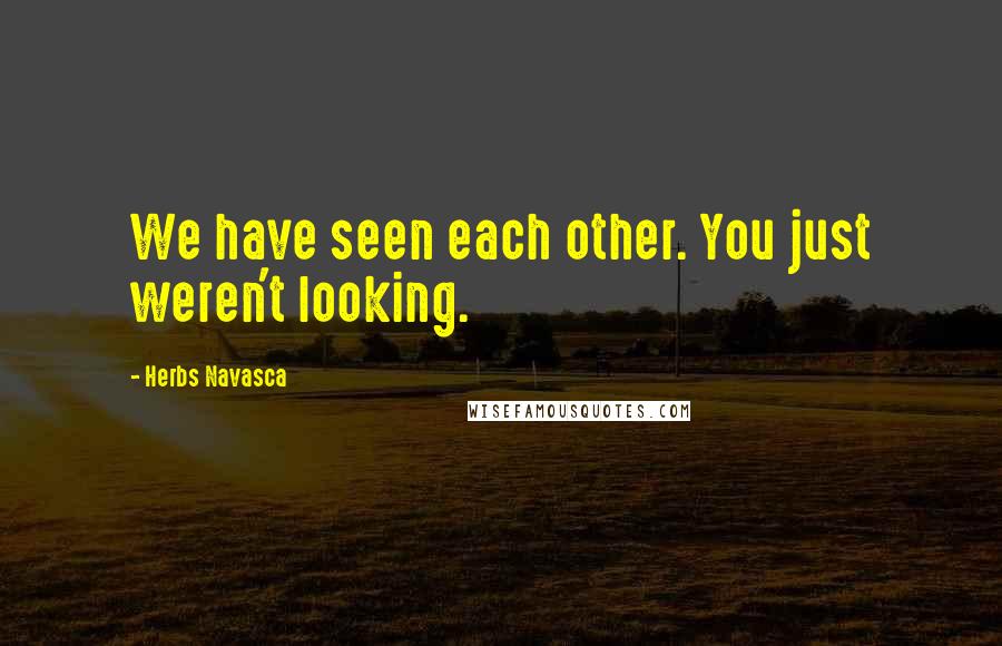 Herbs Navasca Quotes: We have seen each other. You just weren't looking.