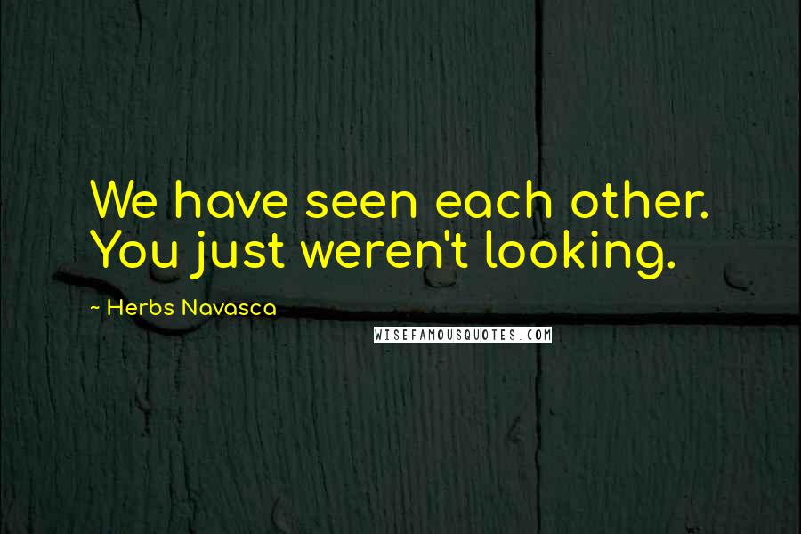 Herbs Navasca Quotes: We have seen each other. You just weren't looking.