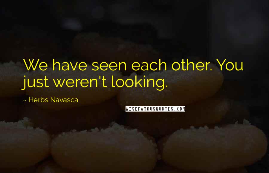 Herbs Navasca Quotes: We have seen each other. You just weren't looking.