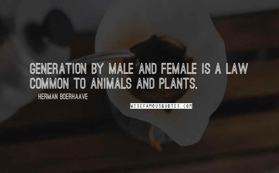 Herman Boerhaave Quotes: Generation by male and female is a law common to animals and plants.