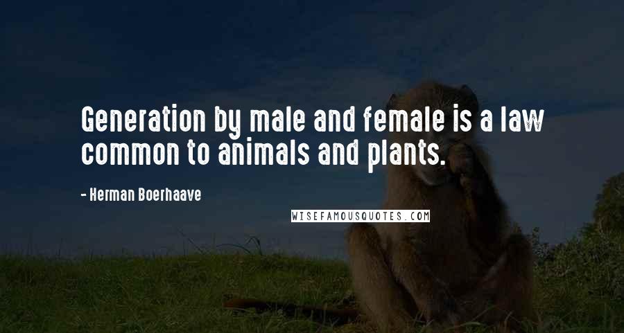 Herman Boerhaave Quotes: Generation by male and female is a law common to animals and plants.