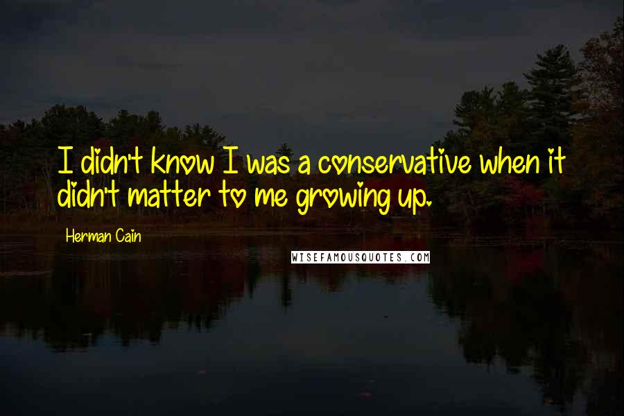 Herman Cain Quotes: I didn't know I was a conservative when it didn't matter to me growing up.