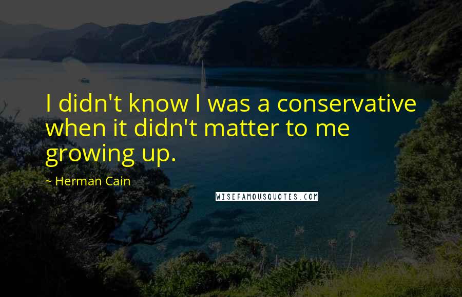 Herman Cain Quotes: I didn't know I was a conservative when it didn't matter to me growing up.
