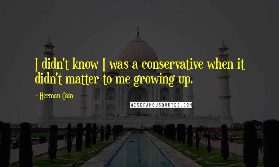 Herman Cain Quotes: I didn't know I was a conservative when it didn't matter to me growing up.
