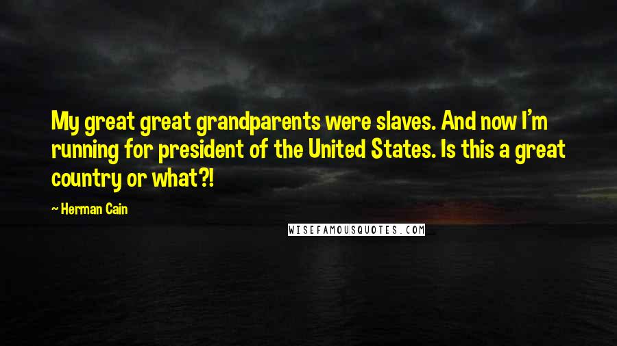 Herman Cain Quotes: My great great grandparents were slaves. And now I'm running for president of the United States. Is this a great country or what?!