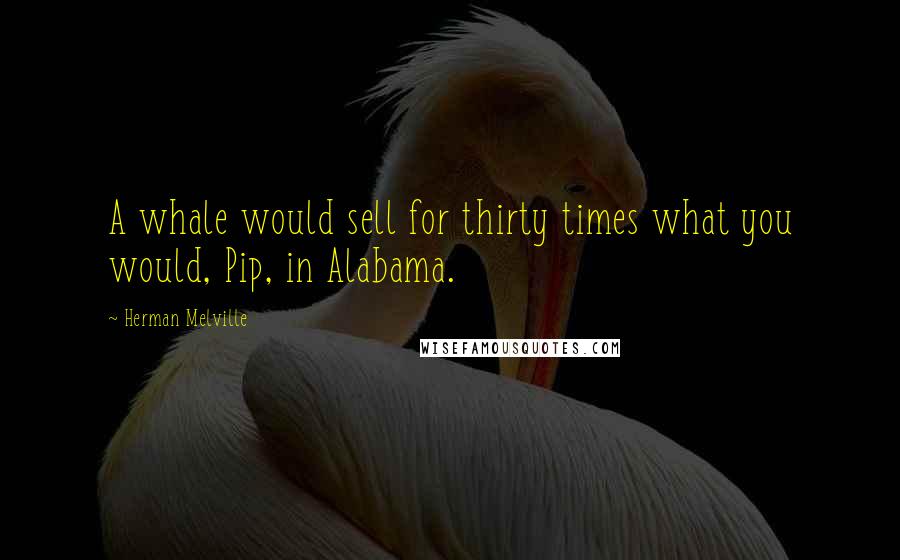 Herman Melville Quotes: A whale would sell for thirty times what you would, Pip, in Alabama.