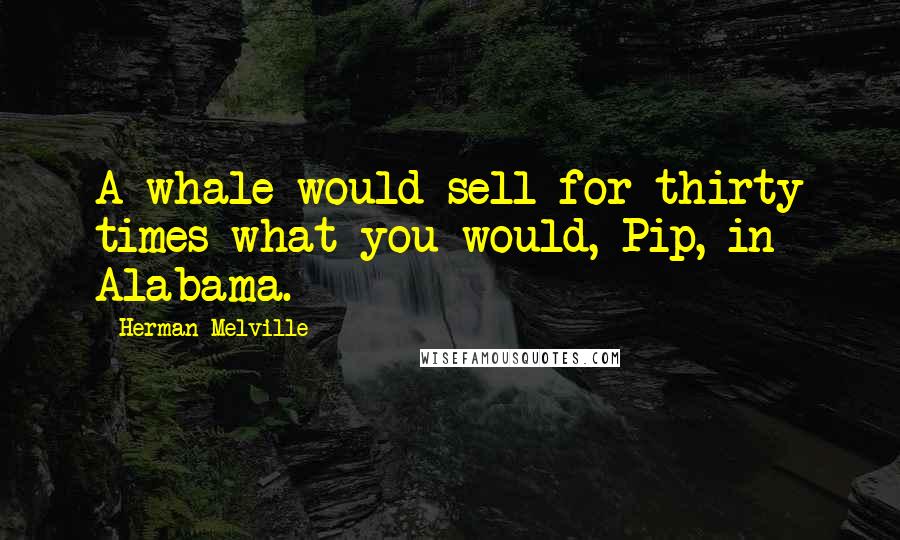 Herman Melville Quotes: A whale would sell for thirty times what you would, Pip, in Alabama.