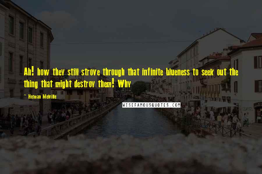 Herman Melville Quotes: Ah! how they still strove through that infinite blueness to seek out the thing that might destroy them! Why