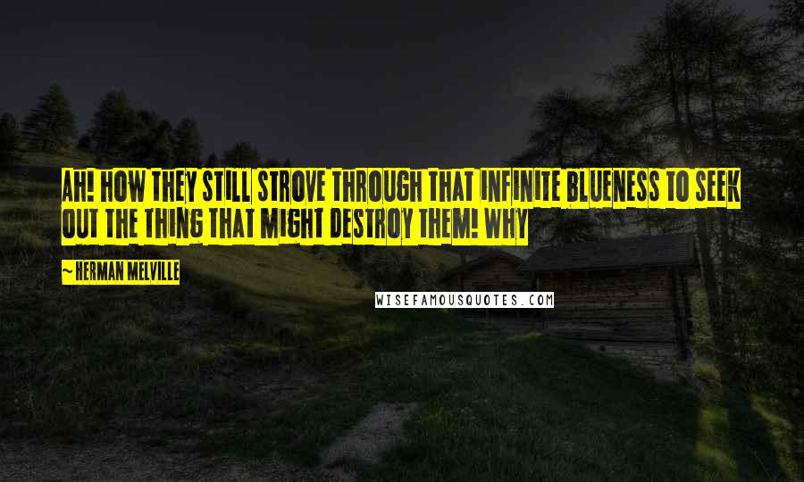 Herman Melville Quotes: Ah! how they still strove through that infinite blueness to seek out the thing that might destroy them! Why