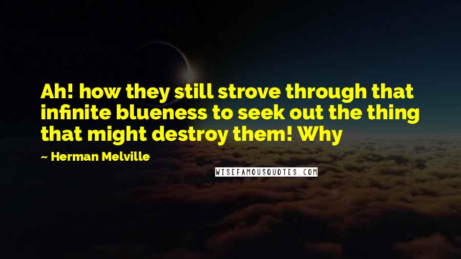Herman Melville Quotes: Ah! how they still strove through that infinite blueness to seek out the thing that might destroy them! Why