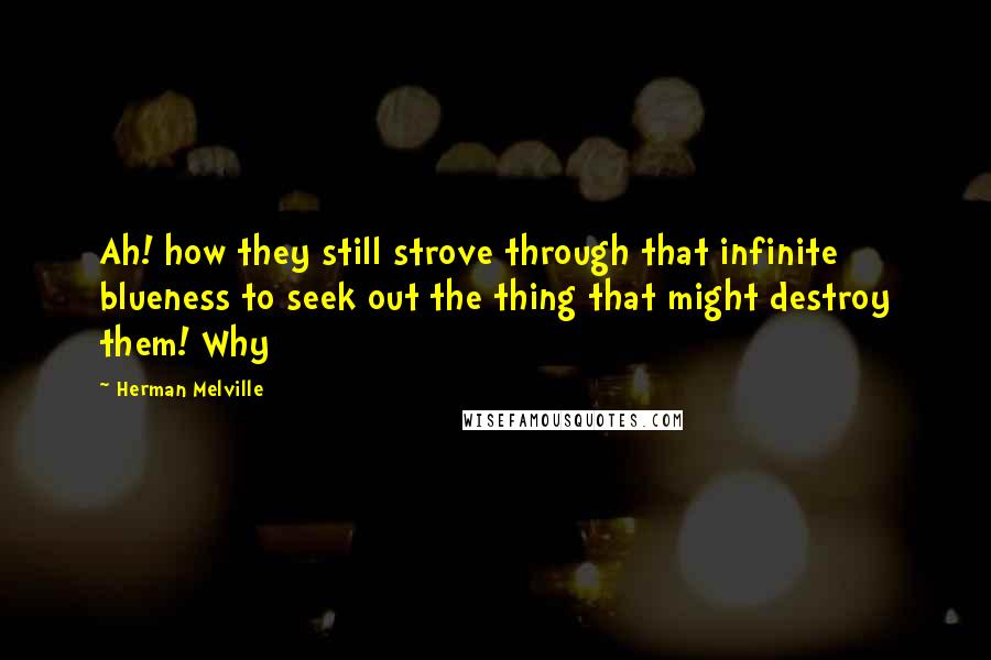 Herman Melville Quotes: Ah! how they still strove through that infinite blueness to seek out the thing that might destroy them! Why