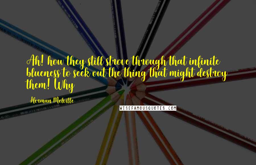 Herman Melville Quotes: Ah! how they still strove through that infinite blueness to seek out the thing that might destroy them! Why