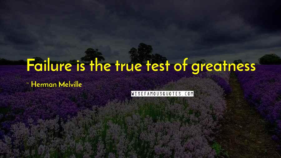 Herman Melville Quotes: Failure is the true test of greatness