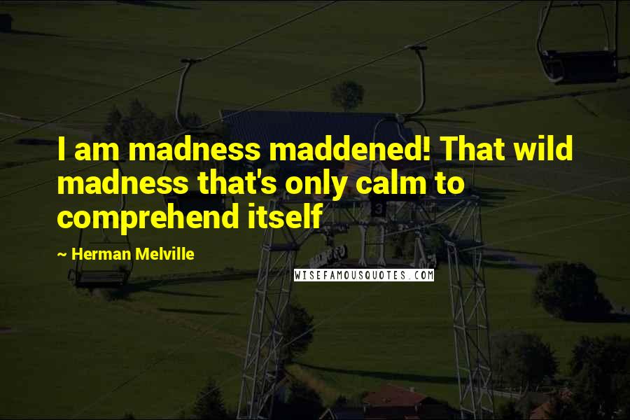 Herman Melville Quotes: I am madness maddened! That wild madness that's only calm to comprehend itself