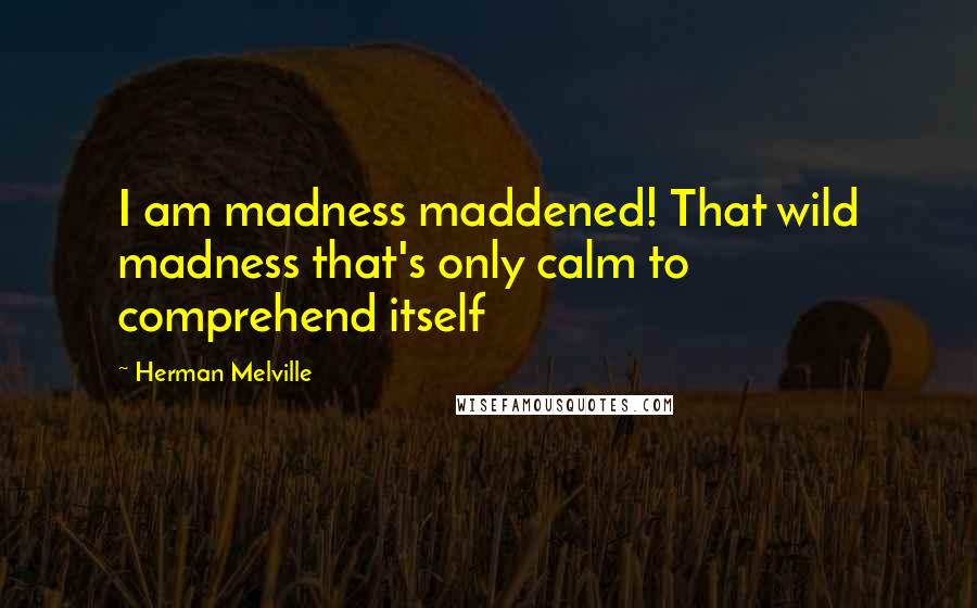 Herman Melville Quotes: I am madness maddened! That wild madness that's only calm to comprehend itself