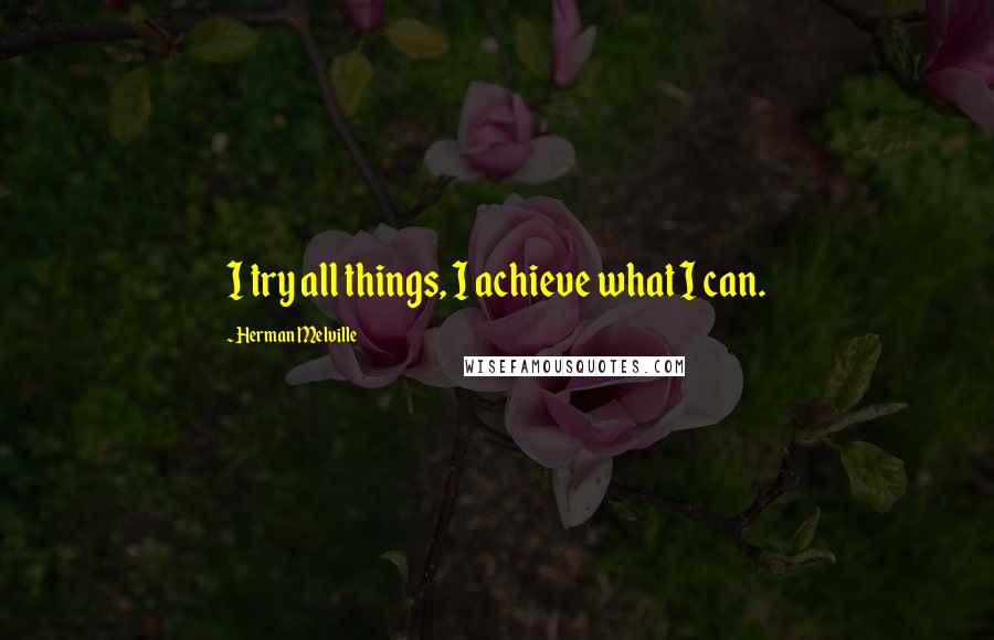 Herman Melville Quotes: I try all things, I achieve what I can.