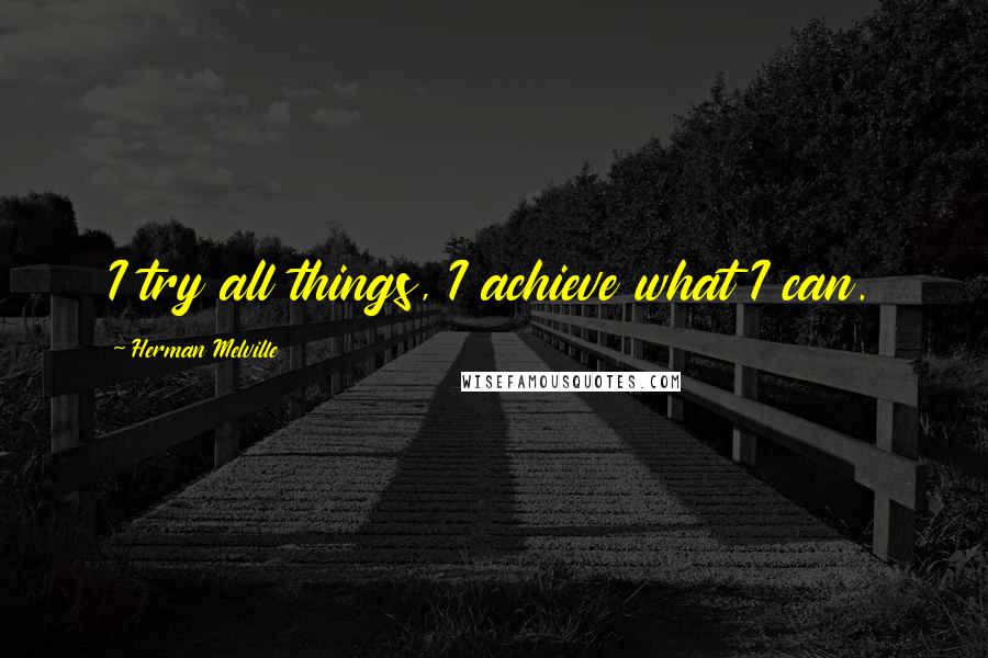 Herman Melville Quotes: I try all things, I achieve what I can.