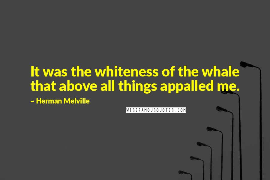 Herman Melville Quotes: It was the whiteness of the whale that above all things appalled me.