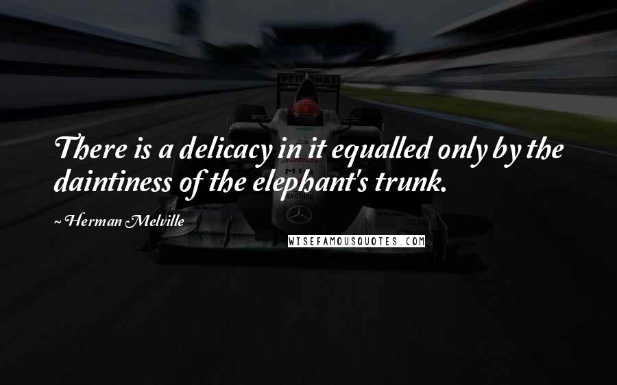 Herman Melville Quotes: There is a delicacy in it equalled only by the daintiness of the elephant's trunk.