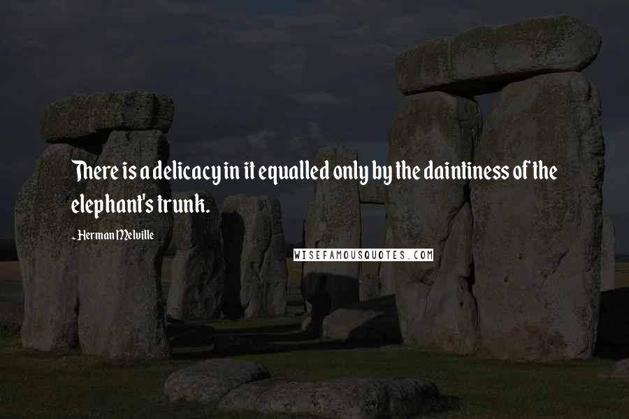 Herman Melville Quotes: There is a delicacy in it equalled only by the daintiness of the elephant's trunk.