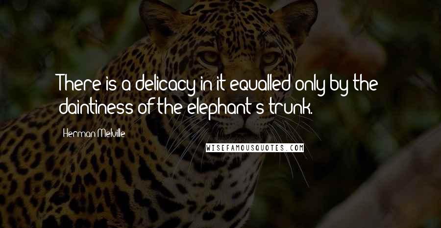 Herman Melville Quotes: There is a delicacy in it equalled only by the daintiness of the elephant's trunk.