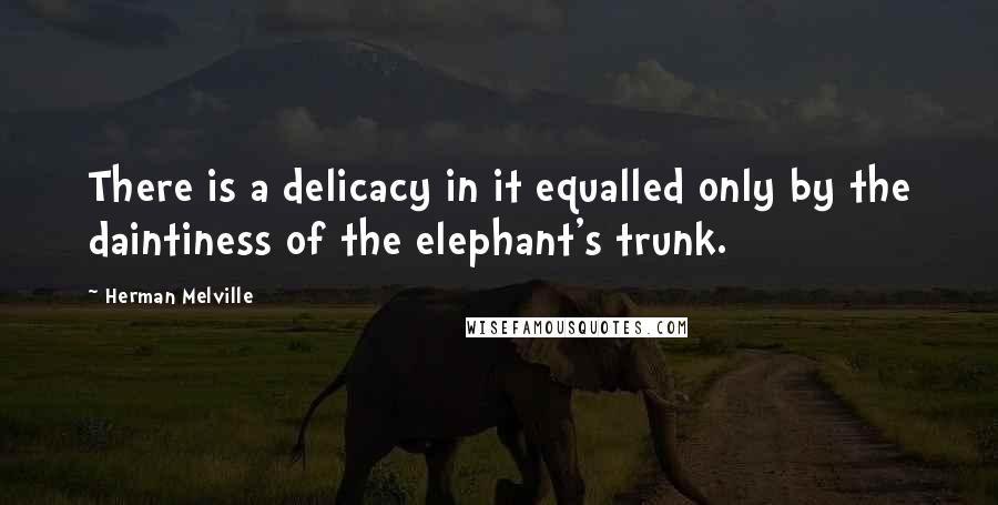 Herman Melville Quotes: There is a delicacy in it equalled only by the daintiness of the elephant's trunk.