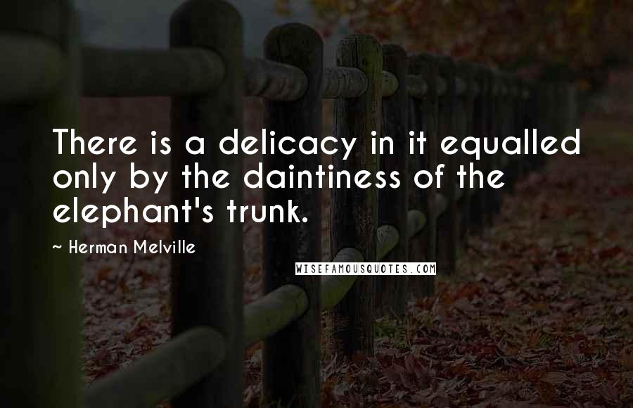 Herman Melville Quotes: There is a delicacy in it equalled only by the daintiness of the elephant's trunk.