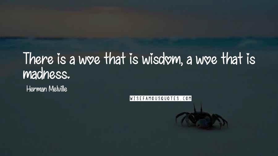 Herman Melville Quotes: There is a woe that is wisdom, a woe that is madness.