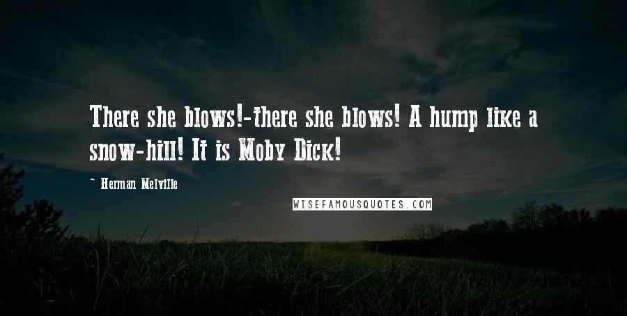 Herman Melville Quotes: There she blows!-there she blows! A hump like a snow-hill! It is Moby Dick!
