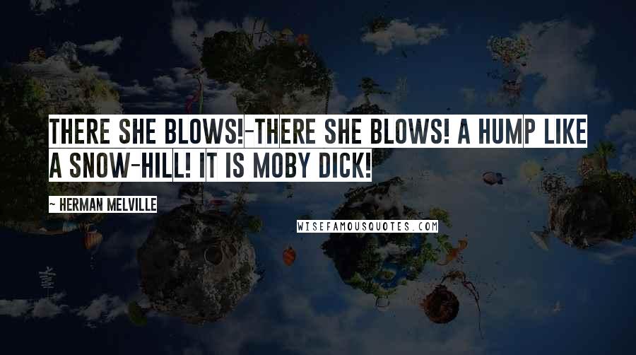 Herman Melville Quotes: There she blows!-there she blows! A hump like a snow-hill! It is Moby Dick!