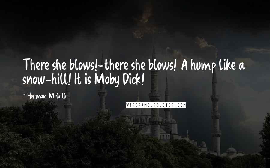 Herman Melville Quotes: There she blows!-there she blows! A hump like a snow-hill! It is Moby Dick!