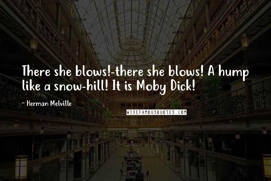 Herman Melville Quotes: There she blows!-there she blows! A hump like a snow-hill! It is Moby Dick!