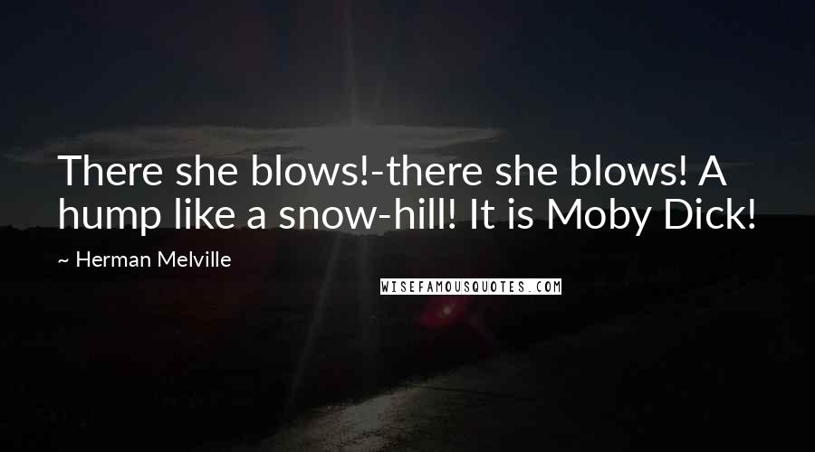 Herman Melville Quotes: There she blows!-there she blows! A hump like a snow-hill! It is Moby Dick!