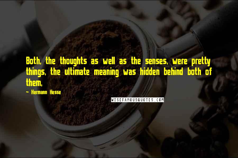 Hermann Hesse Quotes: Both, the thoughts as well as the senses, were pretty things, the ultimate meaning was hidden behind both of them,