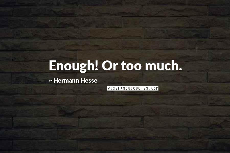 Hermann Hesse Quotes: Enough! Or too much.