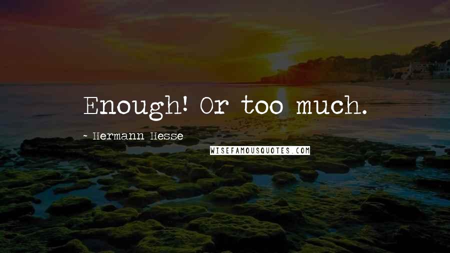 Hermann Hesse Quotes: Enough! Or too much.