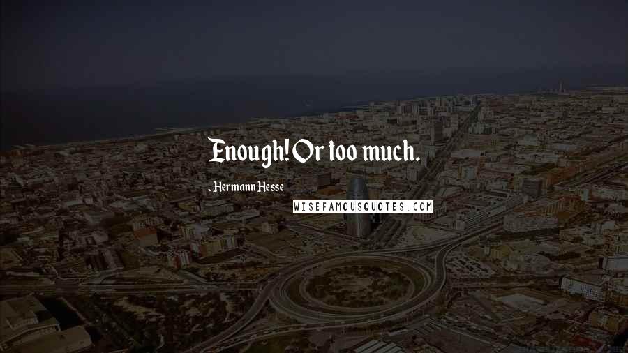 Hermann Hesse Quotes: Enough! Or too much.