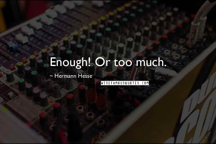 Hermann Hesse Quotes: Enough! Or too much.